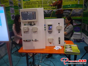 科技賦能 味蕾綻放——3000多項食用菌產品技術亮相青島會展，計量技術服務助力產業升級