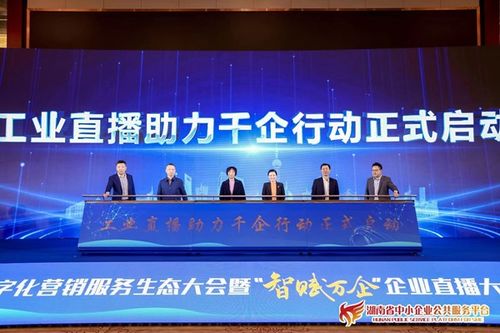 湖南省數(shù)字化營(yíng)銷(xiāo)服務(wù)生態(tài)大會(huì)成功舉辦，賦能制造業(yè)數(shù)字化轉(zhuǎn)型